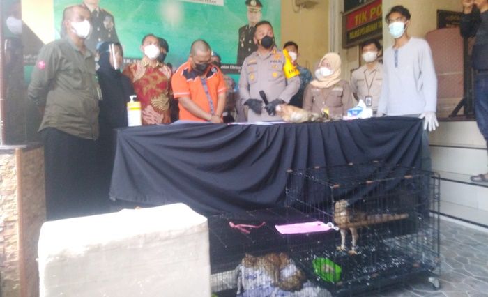 Polres Tanjung Perak Surabaya Gagalkan Penyelundupan 6 Satwa Langka, Seorang Warga Kalsel Diamankan