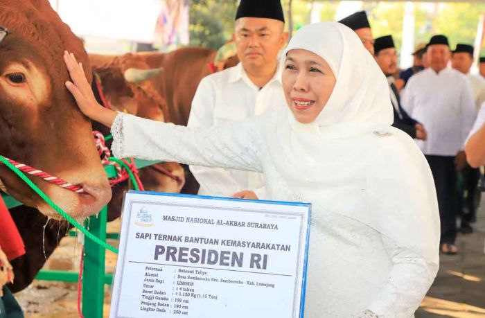 Idul Adha 2023, Gubernur Khofifah Ingatkan Pentingnya Kesalehan Sosial dan Berbagi kepada Sesama Idul Adha 2023, Gubernur Khofifah Ingatkan Pentingnya Kesalehan Sosial dan Berbagi kepada Sesama
