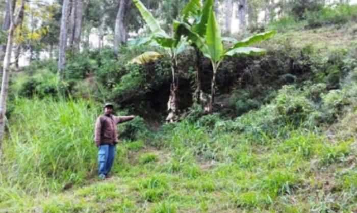 Goa Jepang, Aset Wisata Songgoriti Kota Batu yang Terpendam Goa Jepang, Aset Wisata Songgoriti Kota Batu yang Terpendam
