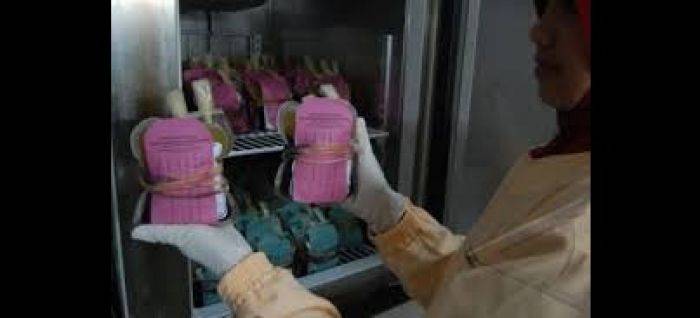 Penderita DBD Meningkat, PMI Tulungagung Kekurangan Stok Darah