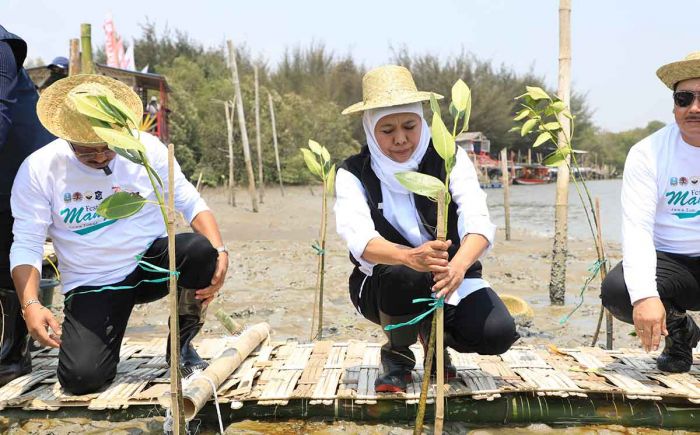 Wujudkan NZE 2060, Gubernur Khofifah Gelar Festival Mangrove ke-V di Romokalisari Adventure Land Wujudkan NZE 2060, Gubernur Khofifah Gelar Festival Mangrove ke-V di Romokalisari Adventure Land