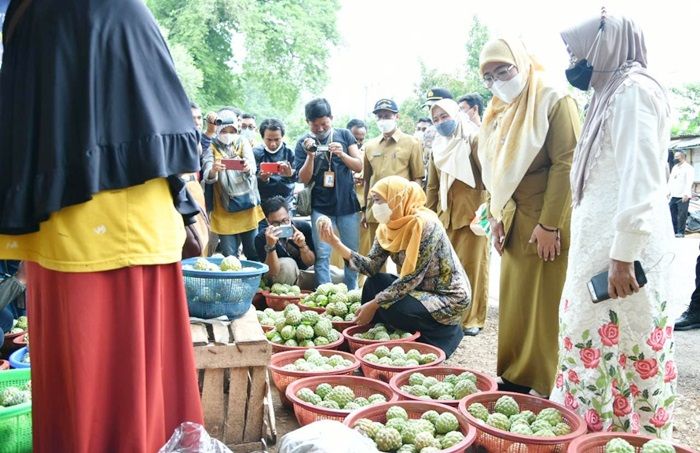 Belanja Srikaya Langsar di Pasar Bluto Sumenep, Khofifah: Bisa Dongkrak Ekonomi Petani Belanja Srikaya Langsar di Pasar Bluto Sumenep, Khofifah: Bisa Dongkrak Ekonomi Petani
