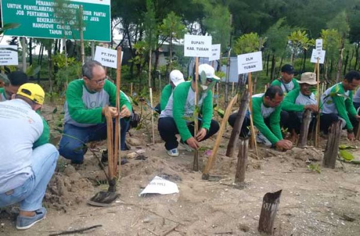 Peduli Kelestarian Lingkungan, JOB PPEJ Tanam 5.000 Pohon Mangrove di Pantai Jenu Tuban Peduli Kelestarian Lingkungan, JOB PPEJ Tanam 5.000 Pohon Mangrove di Pantai Jenu Tuban