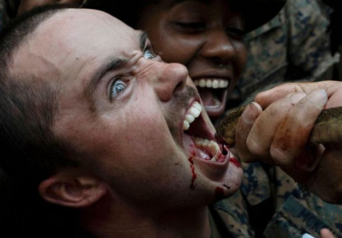 Tentara Diajari Kuliti Tokek, dan Makan Dagingnya saat Hidup, dan Minum Darah Ular