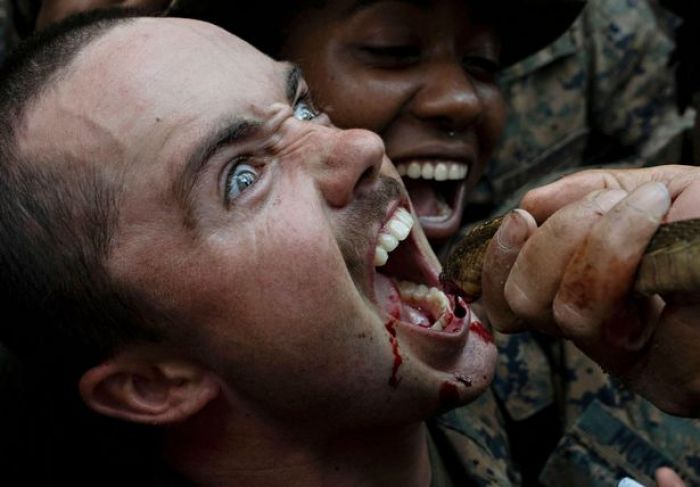 Tentara Diajari Kuliti Tokek, dan Makan Dagingnya saat Hidup, dan Minum Darah Ular Tentara Diajari Kuliti Tokek, dan Makan Dagingnya saat Hidup, dan Minum Darah Ular