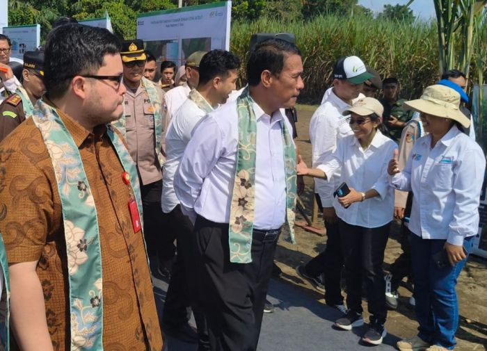 Dukung Swasembada Gula Nasional, Bupati Kediri Pasang Target Naikkan Produksi Tebu Dukung Swasembada Gula Nasional, Bupati Kediri Pasang Target Naikkan Produksi Tebu