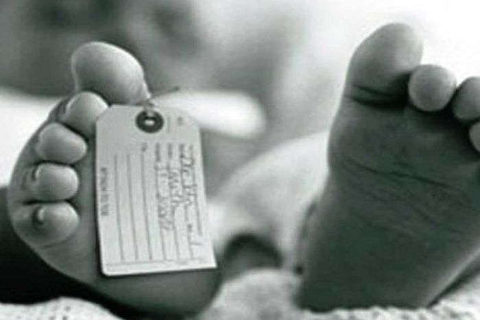 Dinkes Blitar Catat dalam Enam Bulan 50 Bayi Meninggal Dunia Dinkes Blitar Catat dalam Enam Bulan 50 Bayi Meninggal Dunia