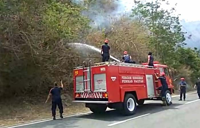 Gara-gara Puntung Rokok, Hutan Seluas 8 Hektar di Pacitan Ludes Dilalap Api Gara-gara Puntung Rokok, Hutan Seluas 8 Hektar di Pacitan Ludes Dilalap Api