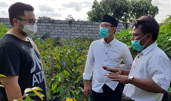 Dhito Dengarkan Keluh Kesah Pelaku Usaha Tanaman Hias di Sentra Tanaman Hias Ngadiluwih Dhito Dengarkan Keluh Kesah Pelaku Usaha Tanaman Hias di Sentra Tanaman Hias Ngadiluwih