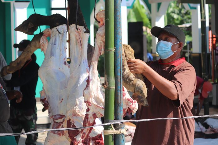 Jelang Idul Adha, Simak Berikut Panduan Berkurban untuk Umat Muslim Jelang Idul Adha, Simak Berikut Panduan Berkurban untuk Umat Muslim
