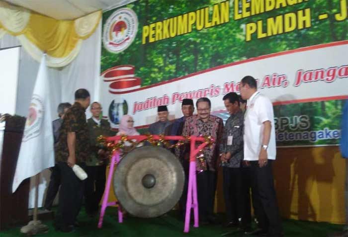 MDH Centre Berharap Paslon di Pilgub Jatim Peduli Hutan MDH Centre Berharap Paslon di Pilgub Jatim Peduli Hutan