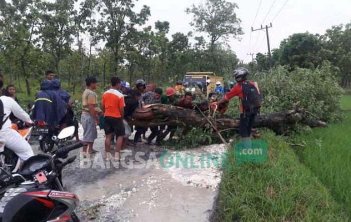Puting Beliung Mengancam Bojonegoro, Warga Diminta Waspada Puting Beliung Mengancam Bojonegoro, Warga Diminta Waspada