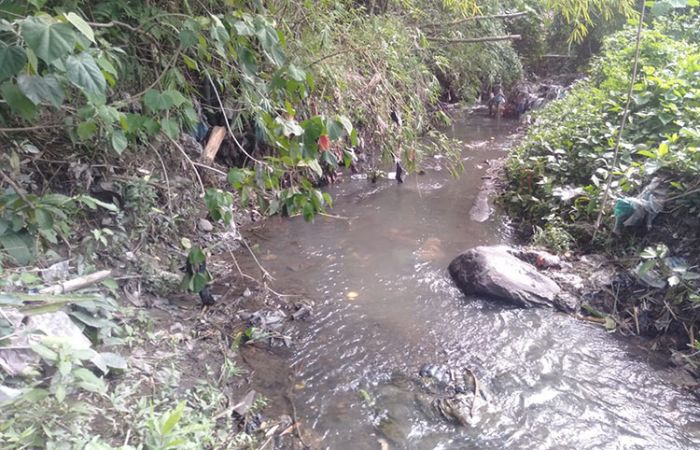 Jadi Langganan Banjir, Puluhan Hektare Sawah di Dusun Kemranggen Pasuruan Tak Ditanami Padi Jadi Langganan Banjir, Puluhan Hektare Sawah di Dusun Kemranggen Pasuruan Tak Ditanami Padi