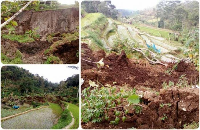 Menjelang Turun Hujan Terjadi Longsor Menjelang Turun Hujan Terjadi Longsor