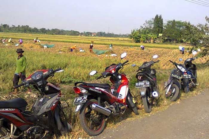 Diparkir di Pinggir Sawah, Motor Milik Jumiatun Raib Diparkir di Pinggir Sawah, Motor Milik Jumiatun Raib