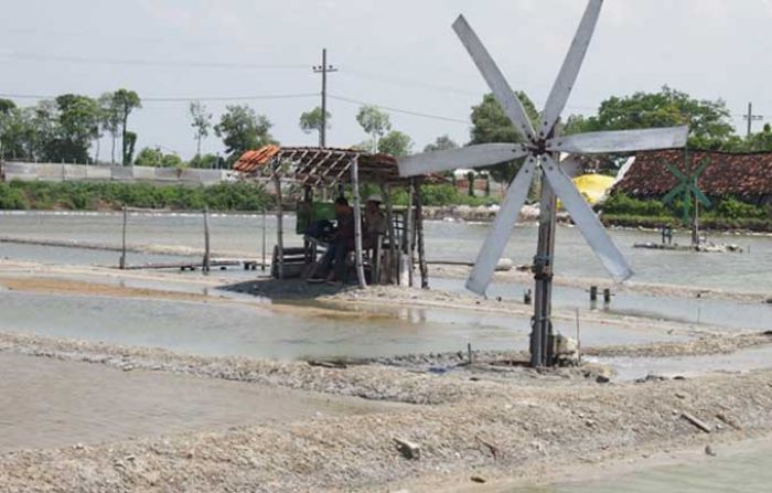 Krisis Garam Meluas, di Tuban Harganya Melonjak Tiga Kali Lipat