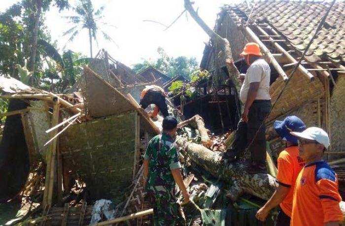 Angin Puting Beliung Rusak Puluhan Rumah Warga di Jember