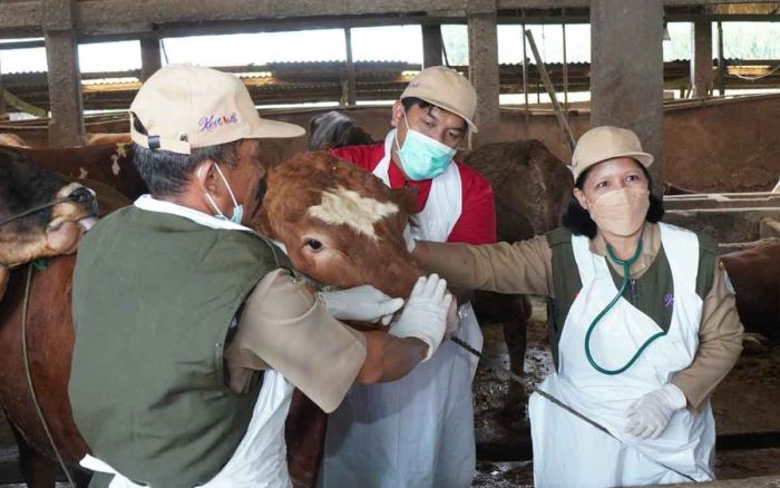 Jelang Iduladha 1445 H, Ketersediaan Hewan Kurban di Lamongan Aman Jelang Iduladha 1445 H, Ketersediaan Hewan Kurban di Lamongan Aman