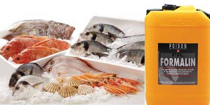 Ikan Formalin Beredar, DPRD Desak Dinkes Bentuk Satgassus Ikan Formalin Beredar, DPRD Desak Dinkes Bentuk Satgassus