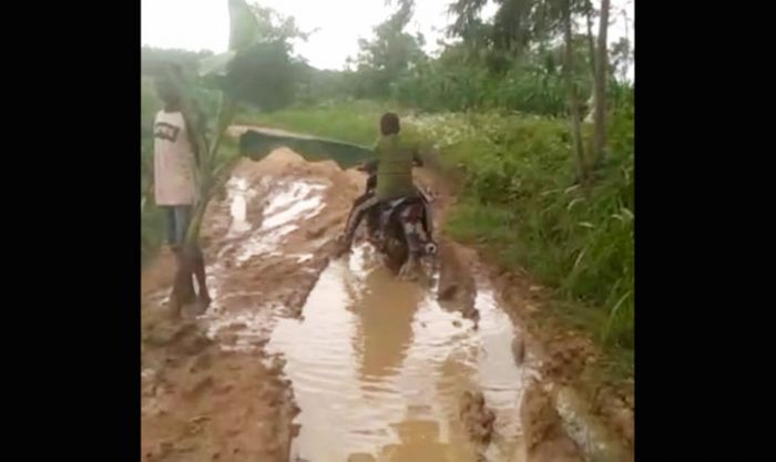 Jalan Kabupaten di Desa Batuporo Timur Ditanami Pohon Pisang Jalan Kabupaten di Desa Batuporo Timur Ditanami Pohon Pisang