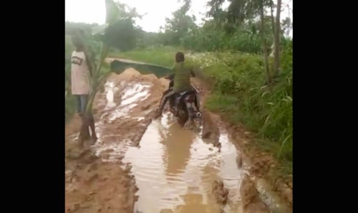 Jalan Kabupaten di Desa Batuporo Timur Ditanami Pohon Pisang