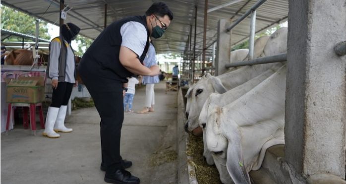 Poktan Berhasil Olah Limbah Sapi Jadi Biogas dan Pupuk, Bupati Kediri Beri Apresiasi Poktan Berhasil Olah Limbah Sapi Jadi Biogas dan Pupuk, Bupati Kediri Beri Apresiasi