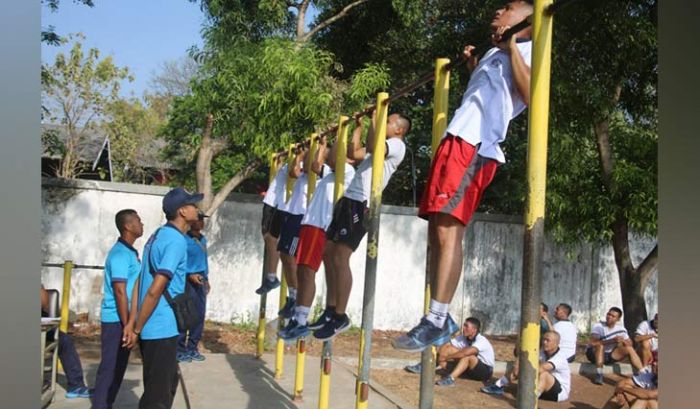 Peserta Seleksi Satgas MTF 2019 Masuki Tahap Tes Kesamaptaan Jasmani Peserta Seleksi Satgas MTF 2019 Masuki Tahap Tes Kesamaptaan Jasmani