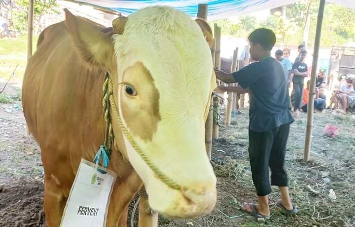 Sembelih 292 Hewan Kurban, Ketua LDII Mojokerto: Bernilai Ketakwaan dan Memupuk Solidaritas Sosial Sembelih 292 Hewan Kurban, Ketua LDII Mojokerto: Bernilai Ketakwaan dan Memupuk Solidaritas Sosial
