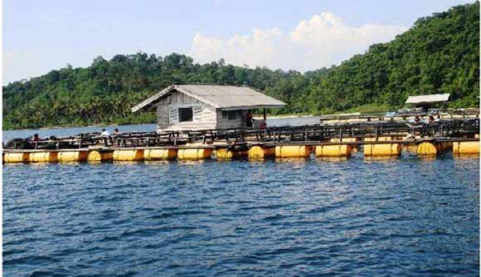 Lumajang Serius Kembangkan Kawasan Minapolitan Lumajang Serius Kembangkan Kawasan Minapolitan