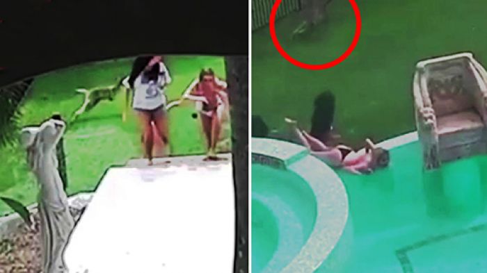 Sesi Pemotretan Model Bikini Ambyar setelah Diseruduk Kanguru Sesi Pemotretan Model Bikini Ambyar setelah Diseruduk Kanguru