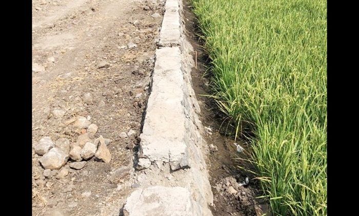 Kualitas Pekerjaan Buruk, PUPR Kota Pasuruan Minta Bangun Ulang Jalan Krapyakrejo Kualitas Pekerjaan Buruk, PUPR Kota Pasuruan Minta Bangun Ulang Jalan Krapyakrejo