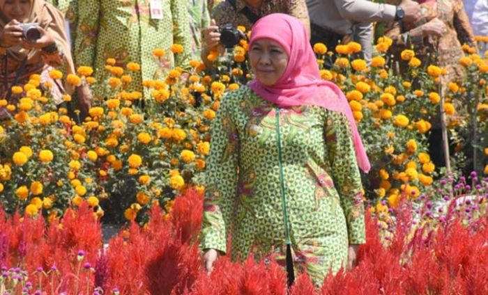 Dewi Cemara Jadi Destinasi Wisata Kediri Dewi Cemara Jadi Destinasi Wisata Kediri