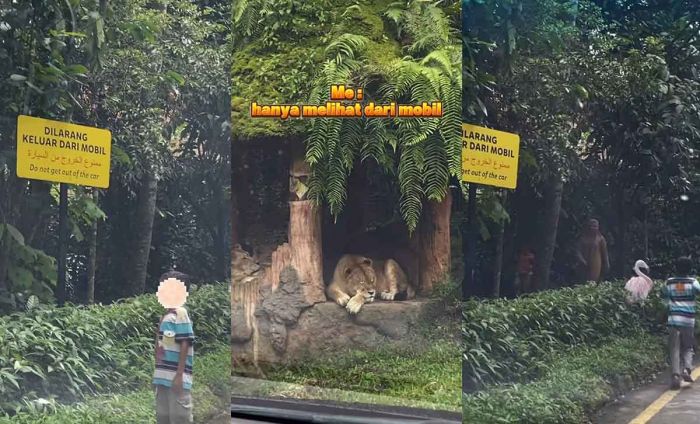 Adegan Berbahaya di Kebun Binatang Terekam dan Viral Adegan Berbahaya di Kebun Binatang Terekam dan Viral