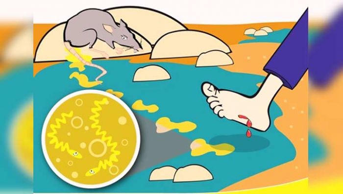 Puskesmas di Pacitan Tingkatkan Kewaspadaan Dini Soal Leptospirosis Puskesmas di Pacitan Tingkatkan Kewaspadaan Dini Soal Leptospirosis