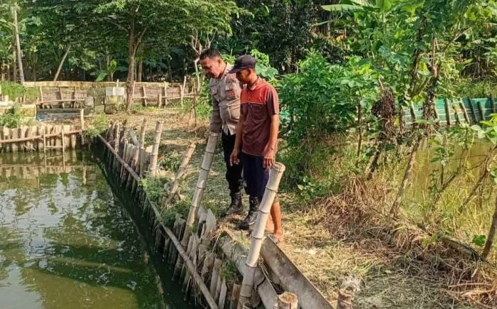 Dukung Program Ketahanan Pangan, Polsek Candi Pantau Budidaya Ikan Lele di Kalipecabean Candi Dukung Program Ketahanan Pangan, Polsek Candi Pantau Budidaya Ikan Lele di Kalipecabean Candi