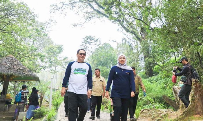 Pascakebakaran, Gubernur Khofifah Fokus Optimalkan Ekosistem di Tahura Raden Soerjo Pascakebakaran, Gubernur Khofifah Fokus Optimalkan Ekosistem di Tahura Raden Soerjo