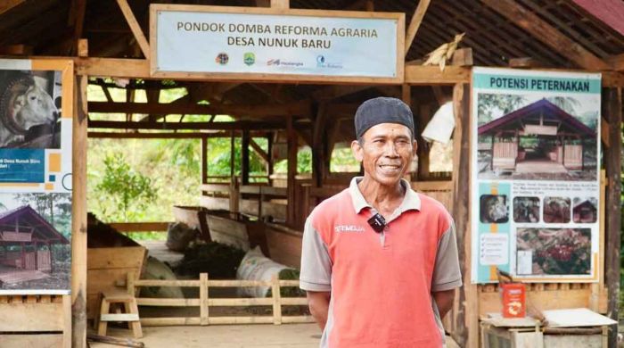 Reforma Agraria Buka Akses Warga Desa Nunuk Baru Jalankan Ternak Domba