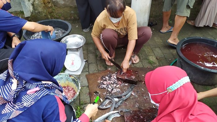 Ternak Lele, Cara Guru SD di Kota Kediri Manfaatkan Waktu Luang di Sela Pembelajaran Daring Ternak Lele, Cara Guru SD di Kota Kediri Manfaatkan Waktu Luang di Sela Pembelajaran Daring