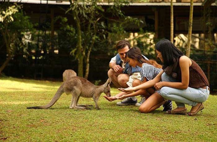 Selama Libur Lebaran, Taman Safari Prigen Suguhkan Spesial Show dan Zona Baru