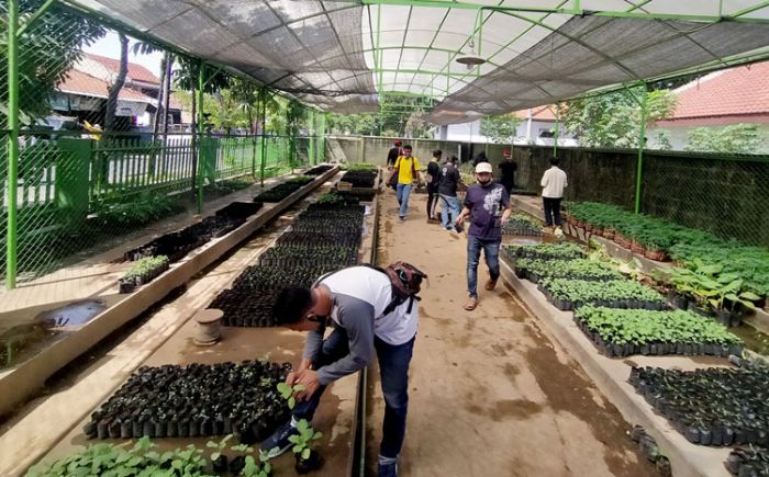 Masa Pandemi, Permintaan Bibit Tanaman di DKPP Capai 80 Ribu Masa Pandemi, Permintaan Bibit Tanaman di DKPP Capai 80 Ribu