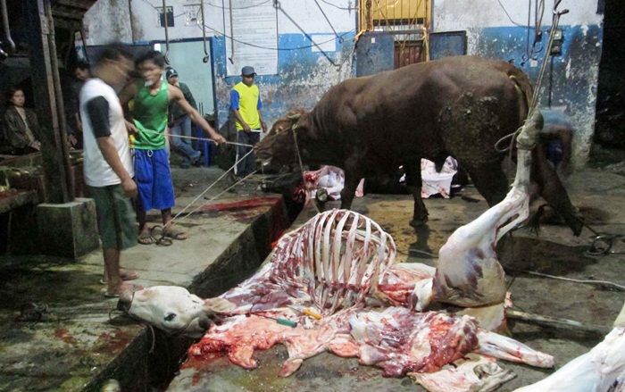 Penambahan RPH di Pasuruan Masih Terkendala Lahan