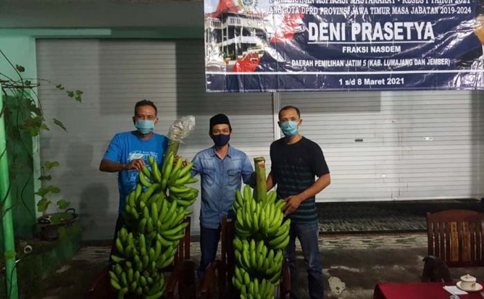 Bersama SSC, Deni Prasetya Sulap Lahan Tidur jadi Lahan Produktif