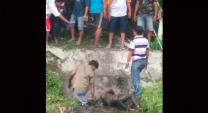 Maling Motor di Tegal Mulyorejo Surabaya Sekarat Dihajar Warga Maling Motor di Tegal Mulyorejo Surabaya Sekarat Dihajar Warga