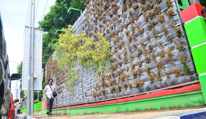 Baru Dibangun, Bunga di Taman Vertikal Garden Bojonegoro Mati