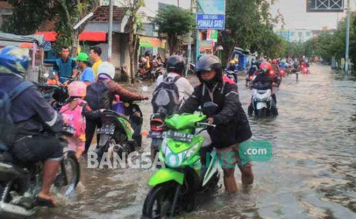 Banjir Luapan Kali Lamong dan Bengawan Solo Kepung 4 Kecamatan di Gresik Banjir Luapan Kali Lamong dan Bengawan Solo Kepung 4 Kecamatan di Gresik