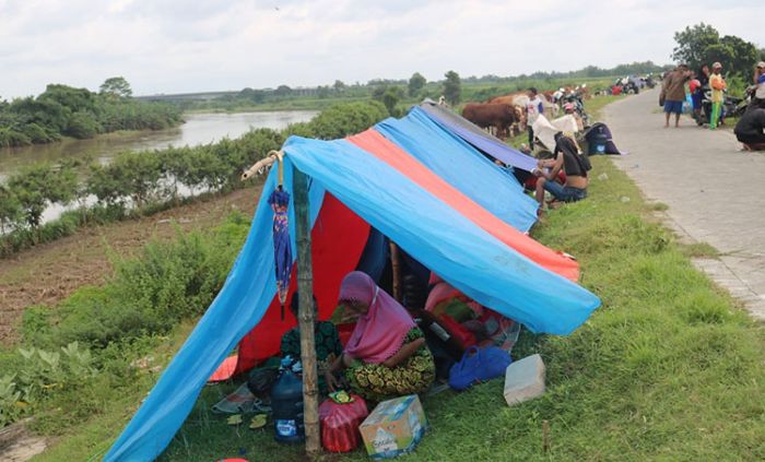 Banjir Jombang, Ratusan Pengungsi Pilih Bertahan di Tanggul Brantas