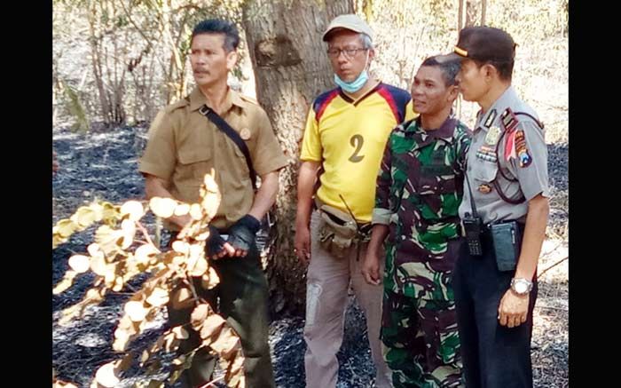 ​Kebakaran Hutan di Widodaren Ngawi Bikin Kalang Kabut Petugas