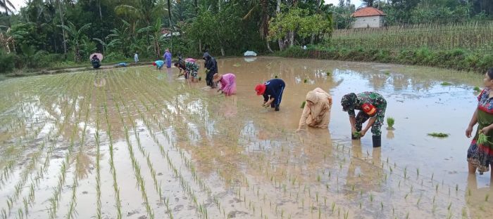 Koramil Manding Dukung Program PAT di Desa Manding Laok Koramil Manding Dukung Program PAT di Desa Manding Laok