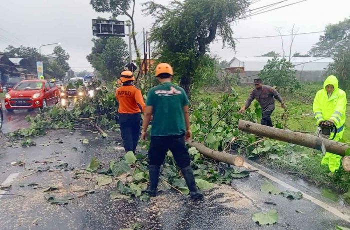 163 Bencana Terjadi di Kabupaten Blitar Selama 2022, Didominasi Angin Kencang 163 Bencana Terjadi di Kabupaten Blitar Selama 2022, Didominasi Angin Kencang