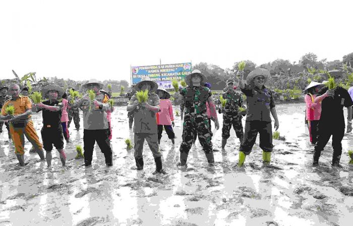 Pj Bupati Masrukin Komitmen Jadikan Pamekasan Sebagai Sentra Jagung Utama di Madura Pj Bupati Masrukin Komitmen Jadikan Pamekasan Sebagai Sentra Jagung Utama di Madura